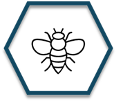 Icon - Honeybee